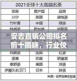 安吉直销公司排名前十揭晓,行业佼佼者引领潮流