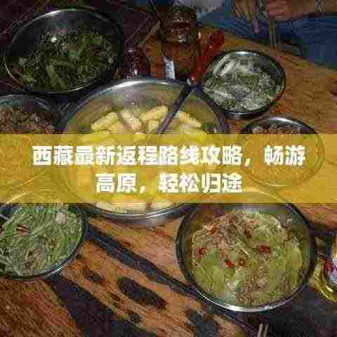 西藏最新返程路线攻略,畅游高原,轻松归途