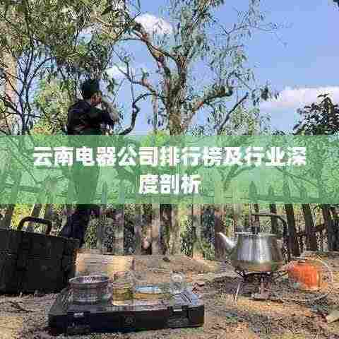 云南电器公司排行榜及行业深度剖析
