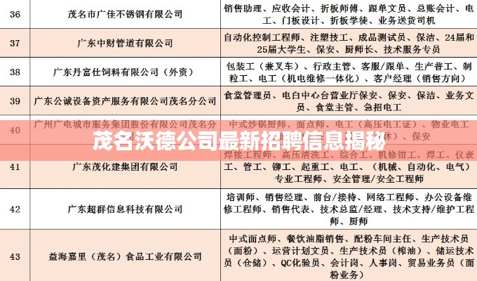 茂名沃德公司最新招聘信息揭秘