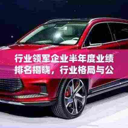 行业领军企业半年度业绩排名揭晓，行业格局与公司实力大揭秘！