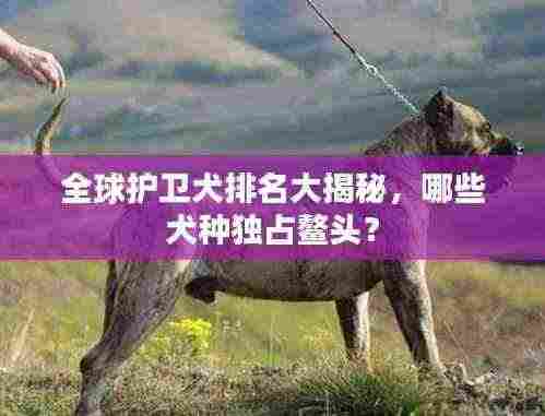 全球护卫犬排名大揭秘，哪些犬种独占鳌头？