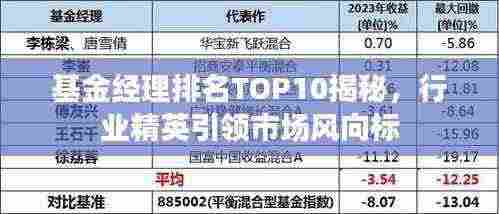 基金经理排名TOP10揭秘,行业精英引领市场风向标