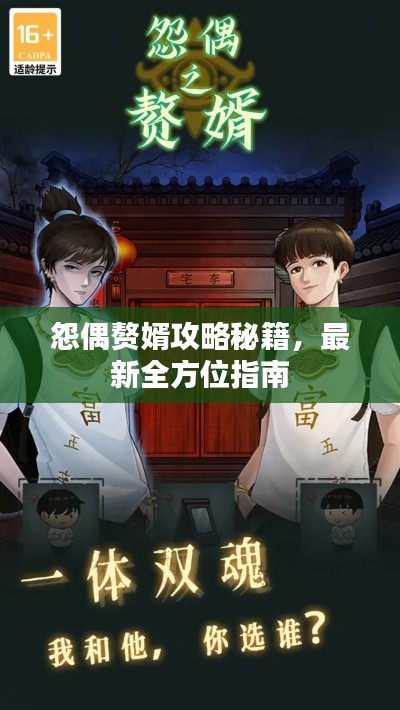 怨偶赘婿攻略秘籍，最新全方位指南