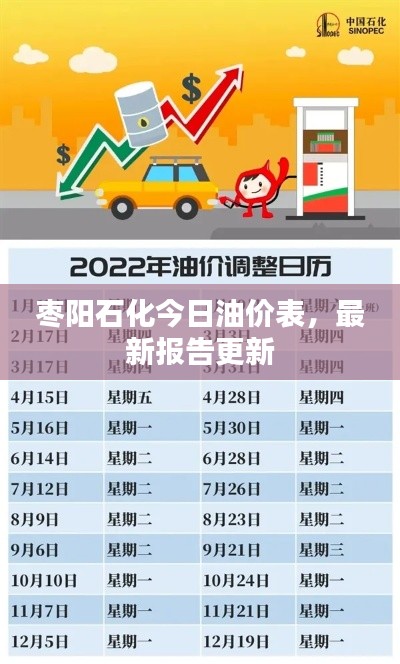 枣阳石化今日油价表，最新报告更新