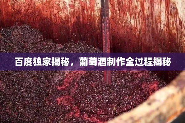 百度独家揭秘，葡萄酒制作全过程揭秘