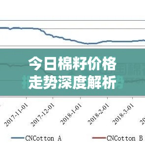今日棉籽价格走势深度解析