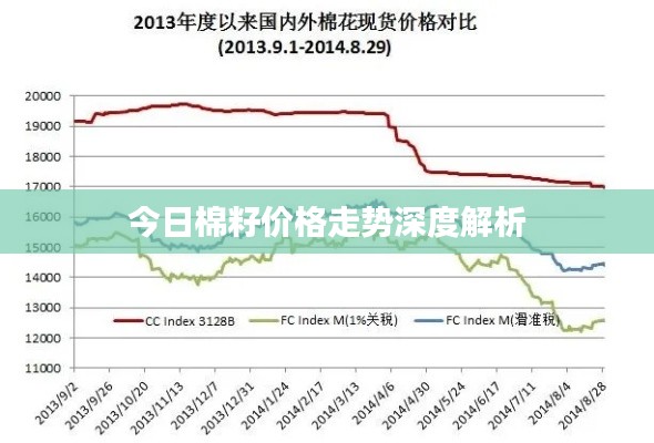 今日棉籽价格走势深度解析