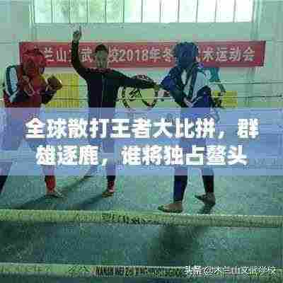 全球散打王者大比拼，群雄逐鹿，谁将独占鳌头？