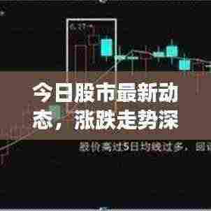 今日股市最新动态，涨跌走势深度解析