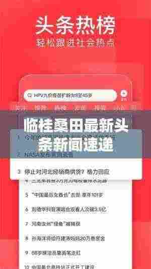 临桂桑田最新头条新闻速递