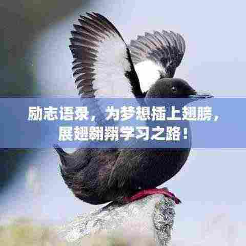 励志语录,为梦想插上翅膀,展翅翱翔学习之路!