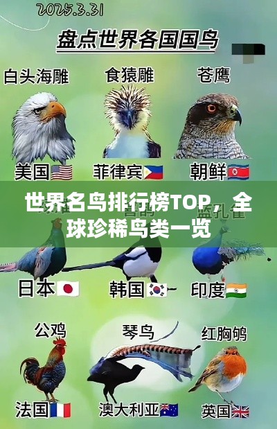世界名鸟排行榜TOP,全球珍稀鸟类一览