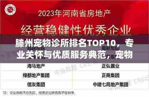 滕州宠物诊所排名TOP10，专业关怀与优质服务典范，宠物健康守护之选