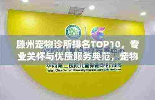 滕州宠物诊所排名TOP10,专业关怀与优质服务典范,宠物健康守护之选