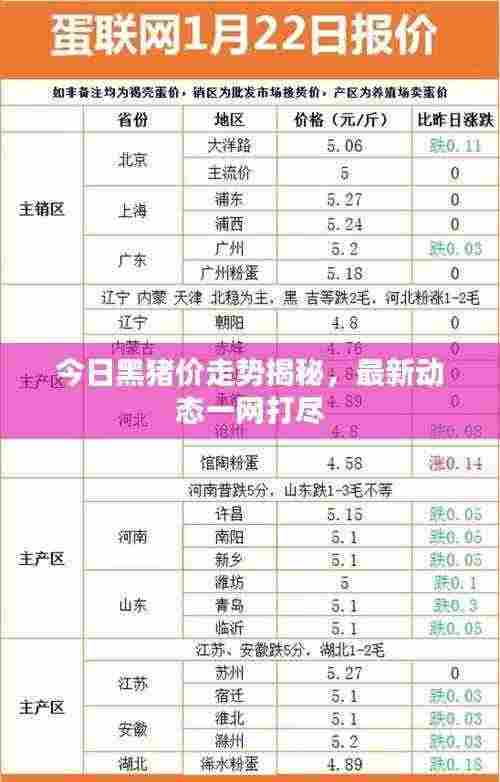 今日黑猪价走势揭秘，最新动态一网打尽