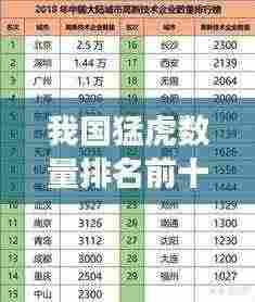 我国猛虎数量排名前十的保护与发展概览