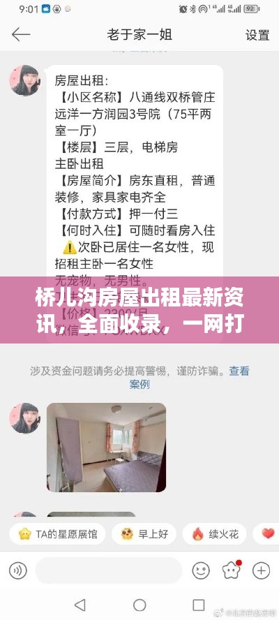 桥儿沟房屋出租最新资讯，全面收录，一网打尽！