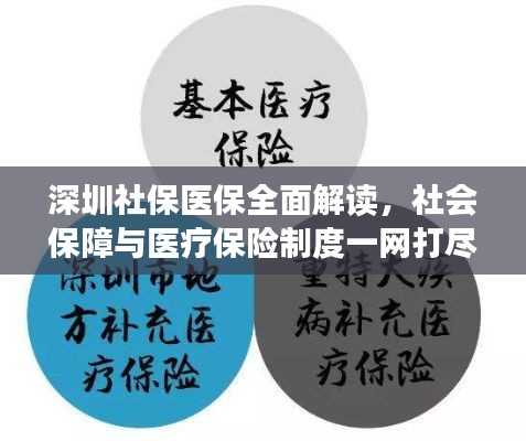 深圳社保医保全面解读,社会保障与医疗保险制度一网打尽!