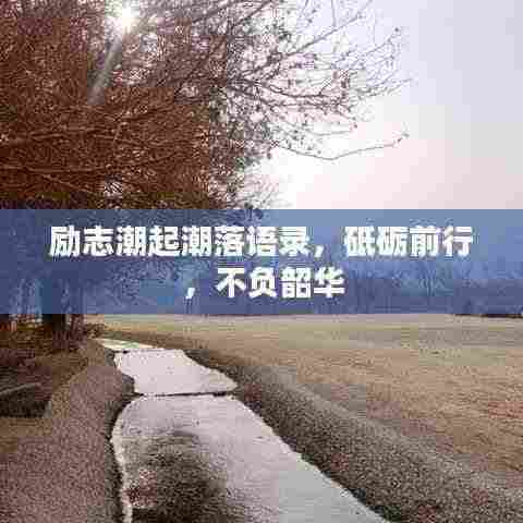 励志潮起潮落语录,砥砺前行,不负韶华