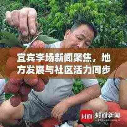 宜宾李场新闻聚焦,地方发展与社区活力同步提升