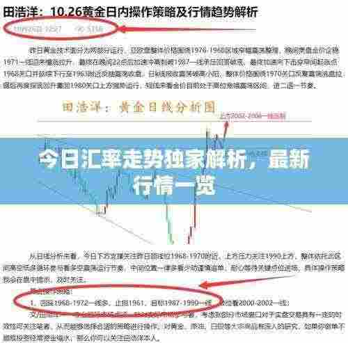今日汇率走势独家解析,最新行情一览