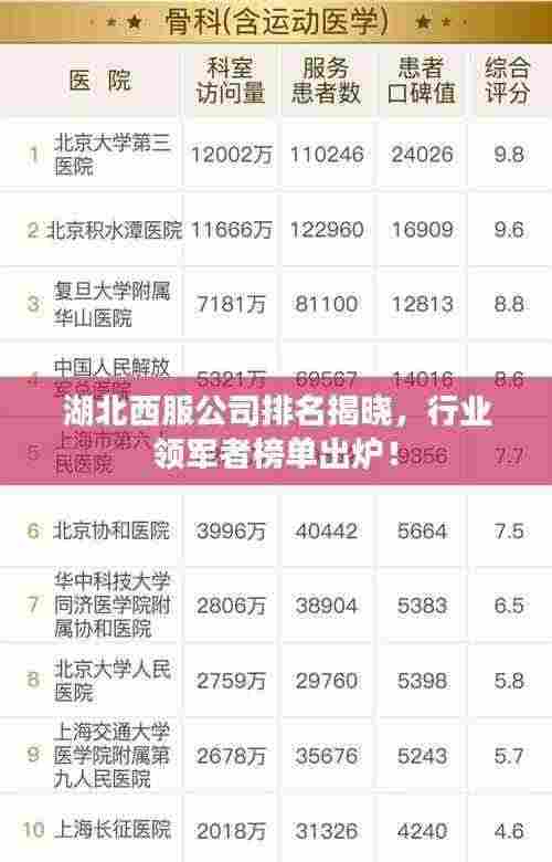 湖北西服公司排名揭晓,行业领军者榜单出炉!