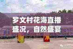 罗文村花海直播盛况，自然盛宴与数字时代的完美融合动态