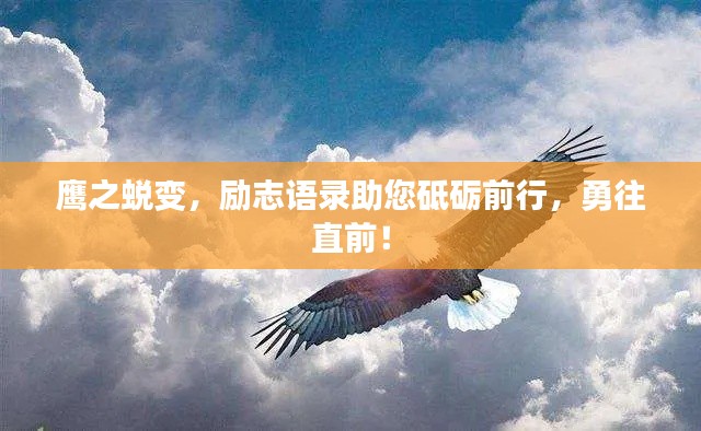 鹰之蜕变，励志语录助您砥砺前行，勇往直前！