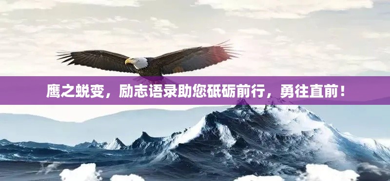 鹰之蜕变,励志语录助您砥砺前行,勇往直前!