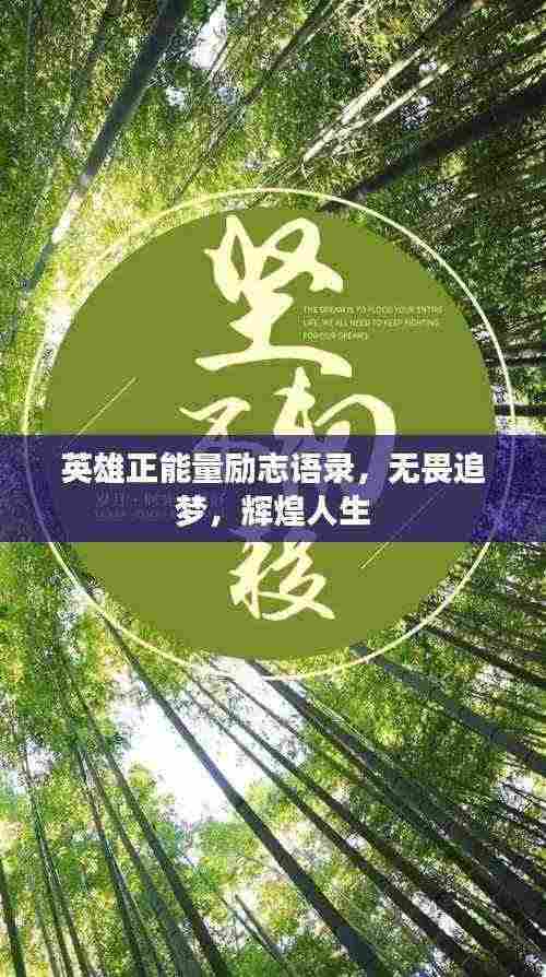 英雄正能量励志语录，无畏追梦，辉煌人生