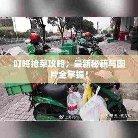 叮咚抢菜攻略，最新秘籍与图片全掌握！