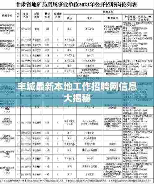 丰城最新本地工作招聘网信息大揭秘