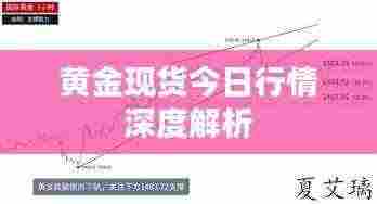 黄金现货今日行情深度解析