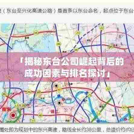 「揭秘东台公司崛起背后的成功因素与排名探讨」