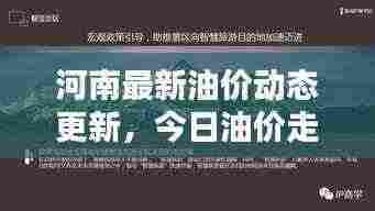 河南最新油价动态更新,今日油价走势及影响因素分析