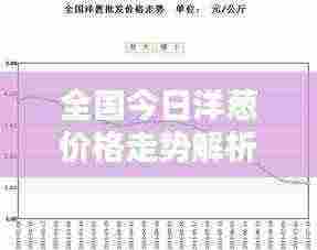 全国今日洋葱价格走势解析,最新动态一网打尽!