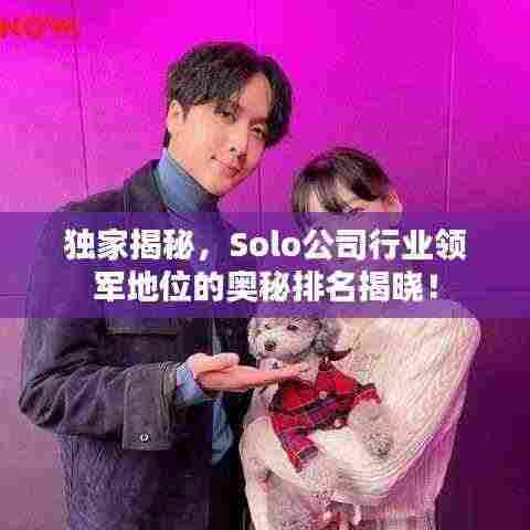 独家揭秘,Solo公司行业领军地位的奥秘排名揭晓!