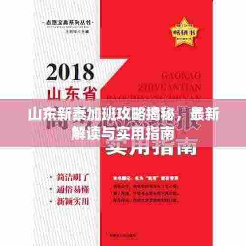 山东新泰加班攻略揭秘，最新解读与实用指南