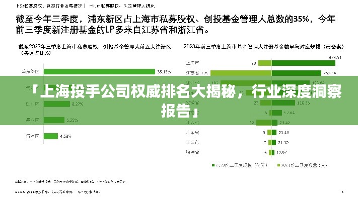 「上海投手公司权威排名大揭秘，行业深度洞察报告」