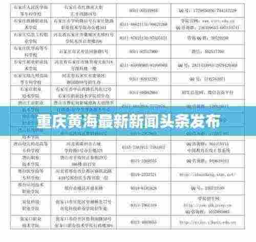 重庆黄海最新新闻头条发布