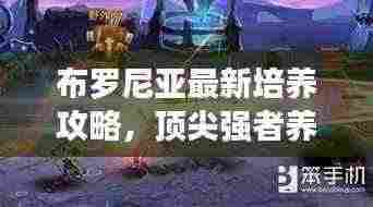 布罗尼亚最新培养攻略,顶尖强者养成秘诀