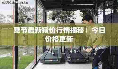 奉节最新猪价行情揭秘!今日价格更新