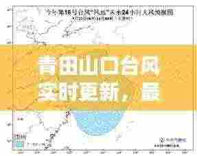 青田山口台风实时更新,最新动态与预警通知