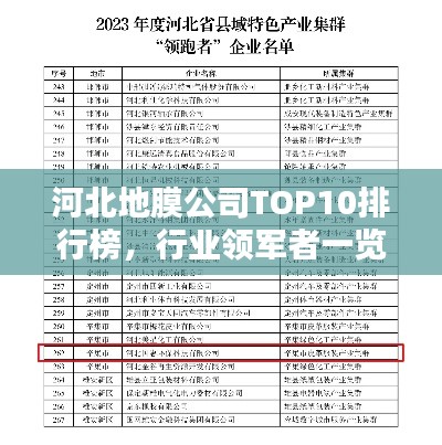 河北地膜公司TOP10排行榜，行业领军者一览