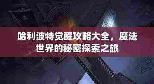 哈利波特觉醒攻略大全,魔法世界的秘密探索之旅