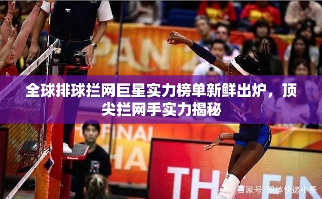 全球排球拦网巨星实力榜单新鲜出炉，顶尖拦网手实力揭秘