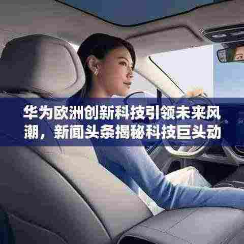 候鸟南飞 第3页