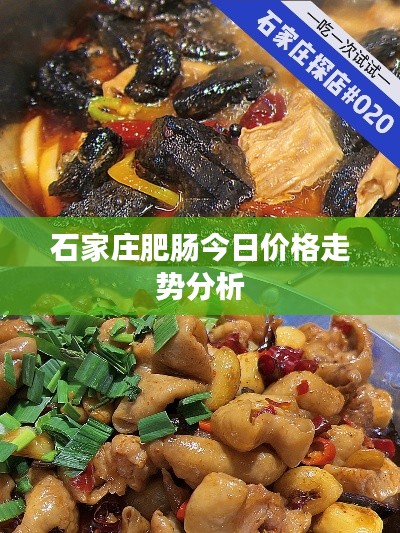 石家庄肥肠今日价格走势分析
