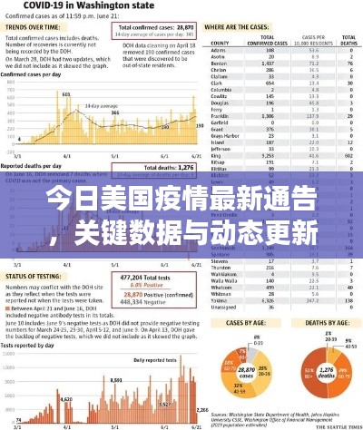 今日美国疫情最新通告,关键数据与动态更新